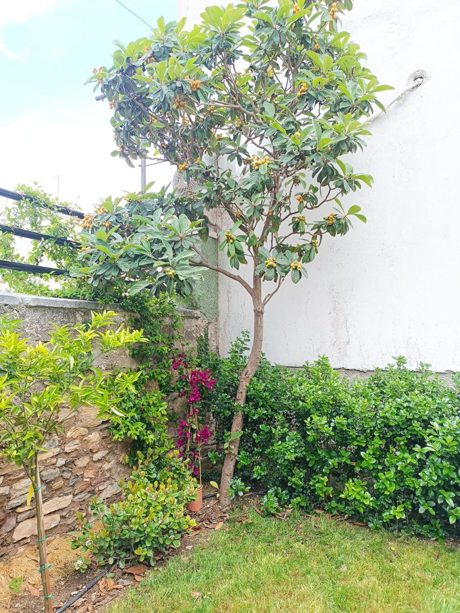 Betty'S Garden House Nea Anchialos Quarto foto