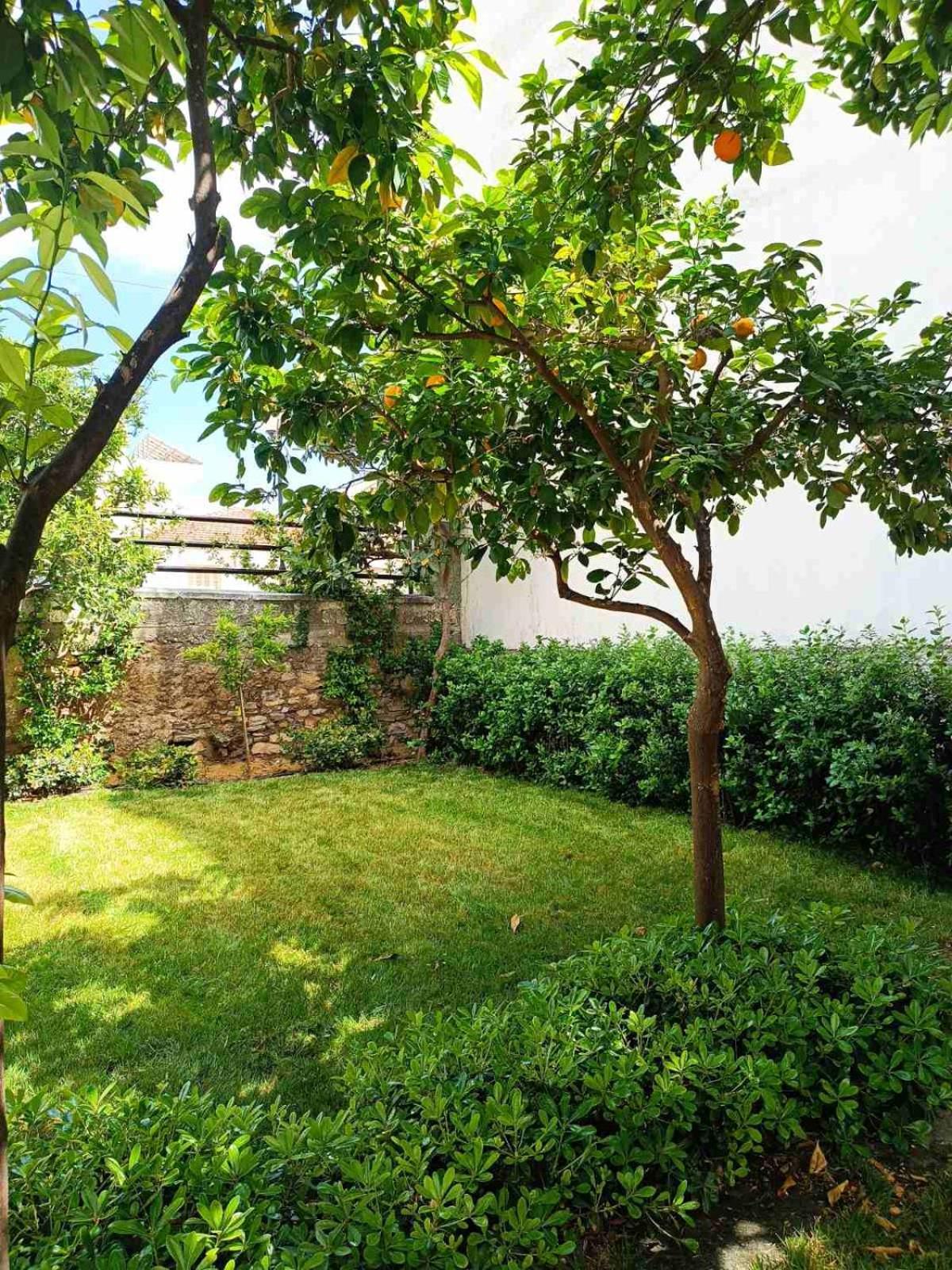 Betty'S Garden House Nea Anchialos Exterior foto