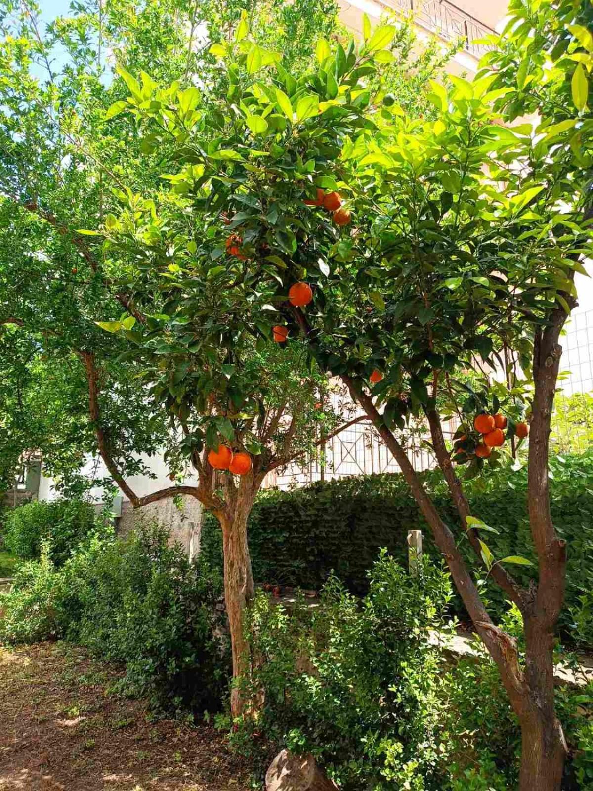 Betty'S Garden House Nea Anchialos Exterior foto
