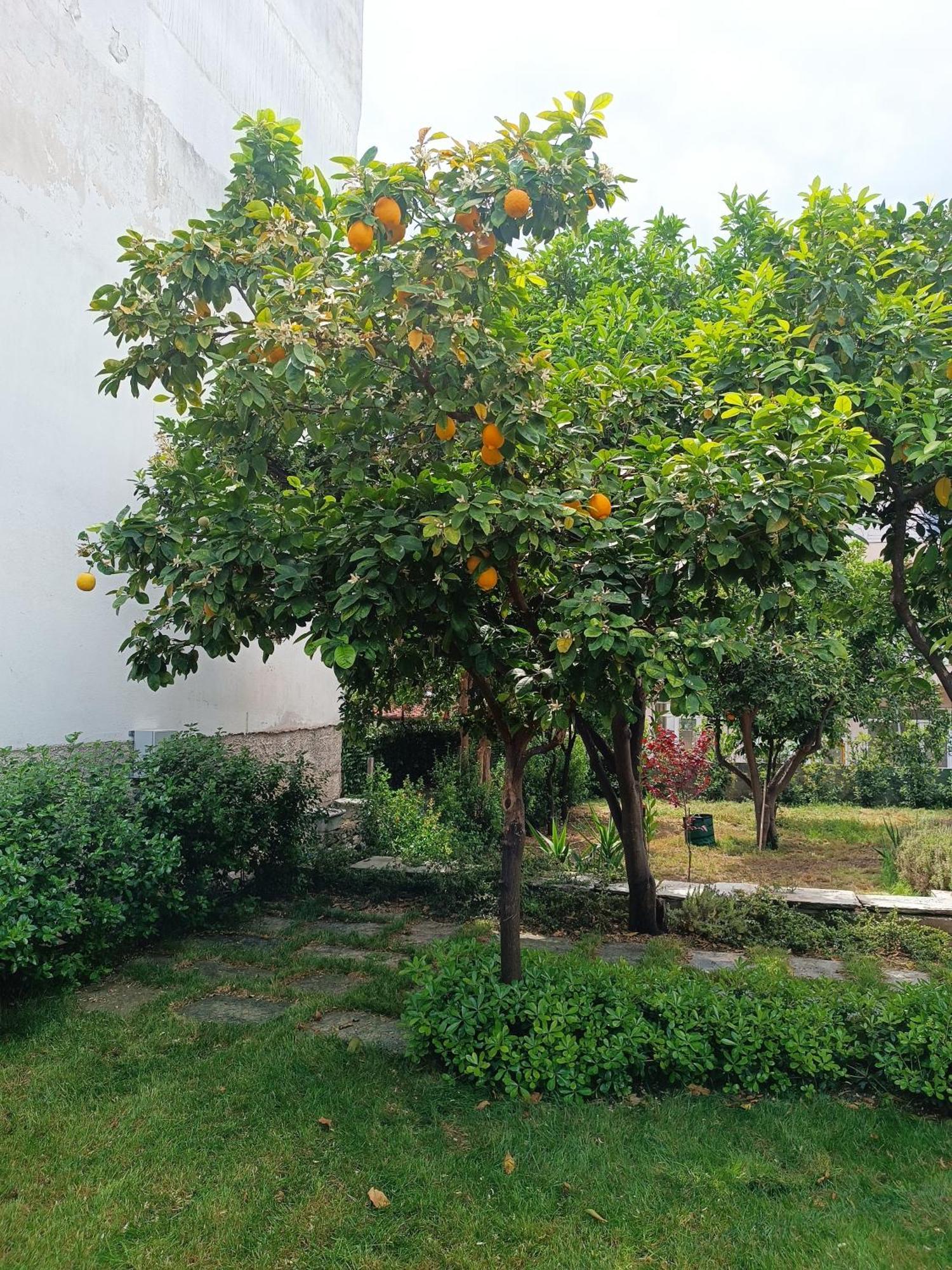 Betty'S Garden House Nea Anchialos Quarto foto