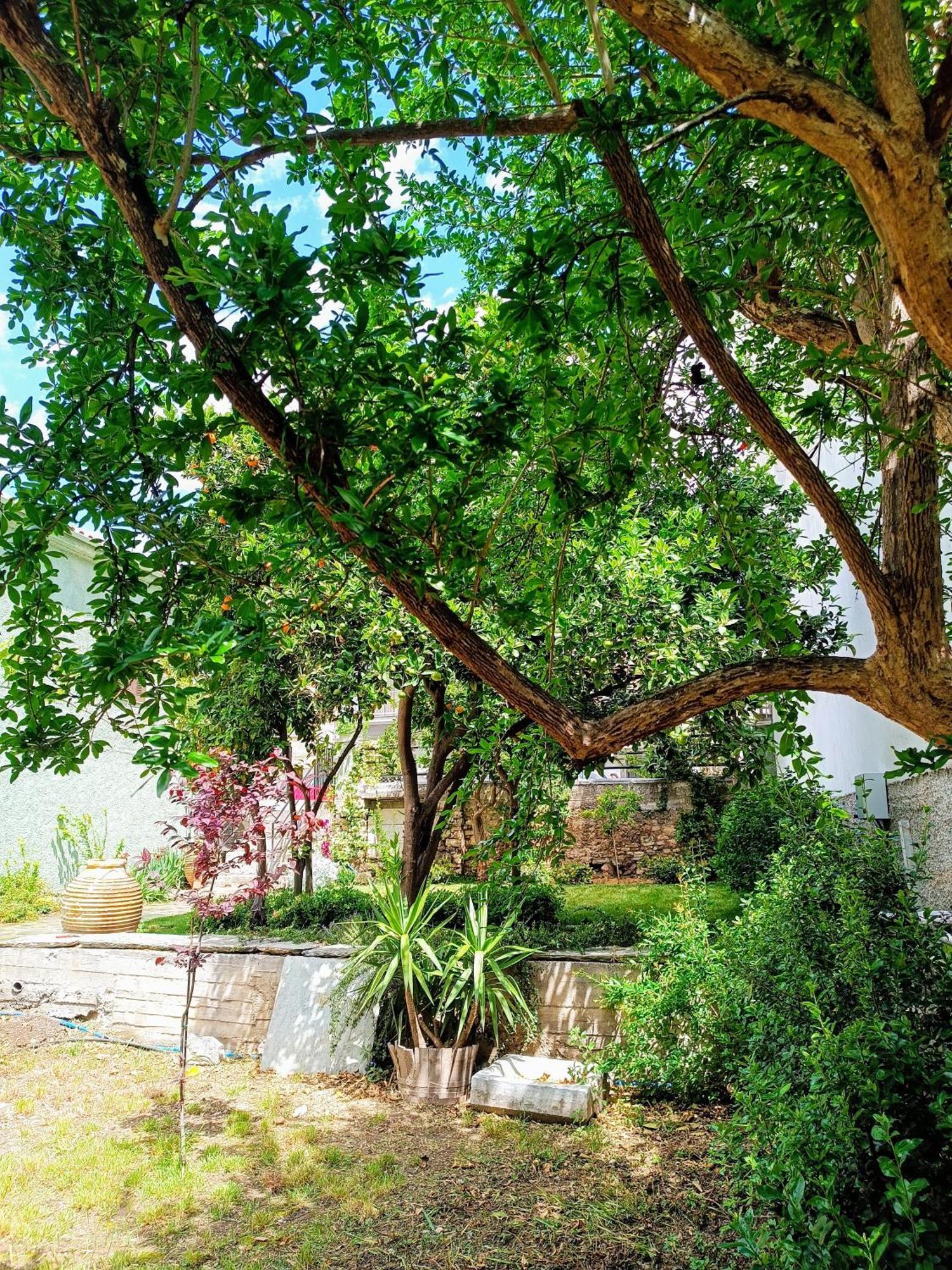 Betty'S Garden House Nea Anchialos Quarto foto